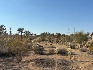 MLS #JT25181795 image #0