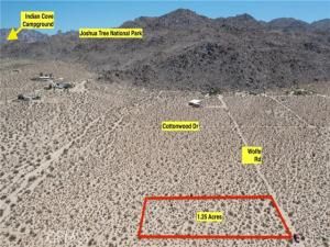 MLS #JT25185144 image #0