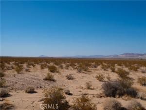 MLS #JT25185156 image #0