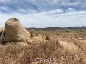 MLS #JT25187027 image #0