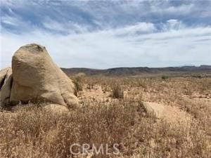 MLS #JT25187027 image #0