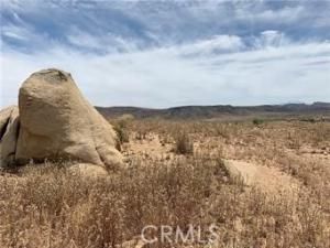 MLS #JT25187027 image #0