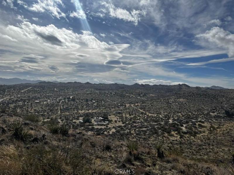 MLS #JT25189473 image #0