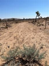 MLS #JT25190838 image #0