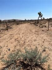 MLS #JT25190838 image #0