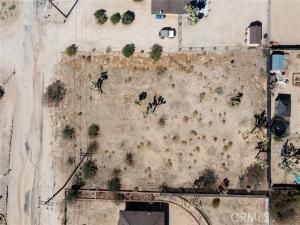 MLS #JT25196643 image #0