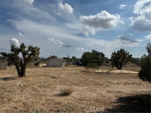 MLS #JT25196970 image #0