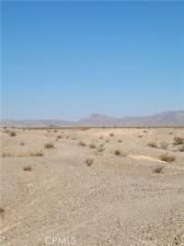 MLS #JT25199382 image #0