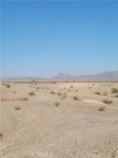 MLS #JT25199410 image #0