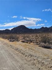 MLS #JT25200338 image #0