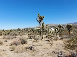 MLS #JT25207371 image #0