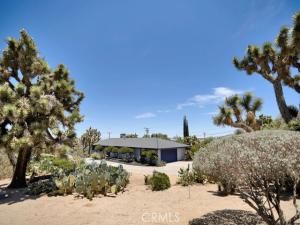 MLS #JT25213883 image #0