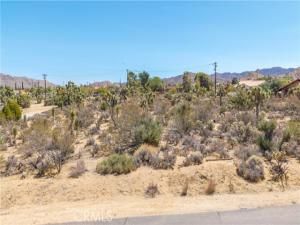 MLS #JT25216098 image #0