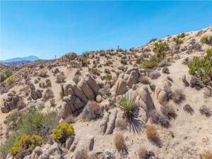 MLS #JT25216273 image #0