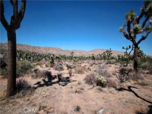 MLS #JT25216625 image #0