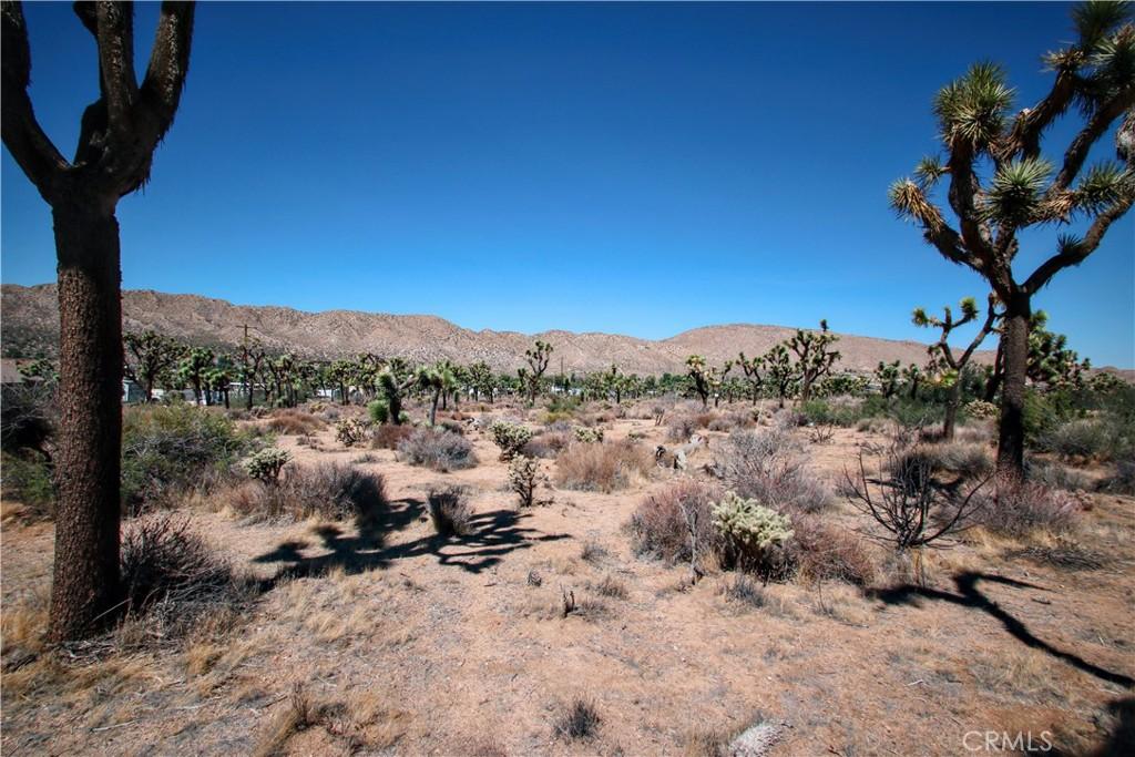 MLS #JT25216625 image #0