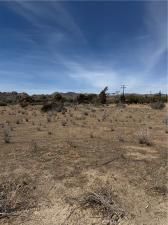 MLS #JT25221493 image #0