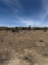 MLS #JT25221493 image #0