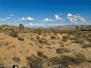 MLS #JT25221731 image #0