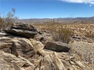 MLS #JT25223315 image #0