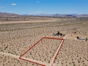 MLS #JT25223316 image #0