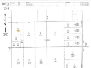 MLS #JT25223532 image #0