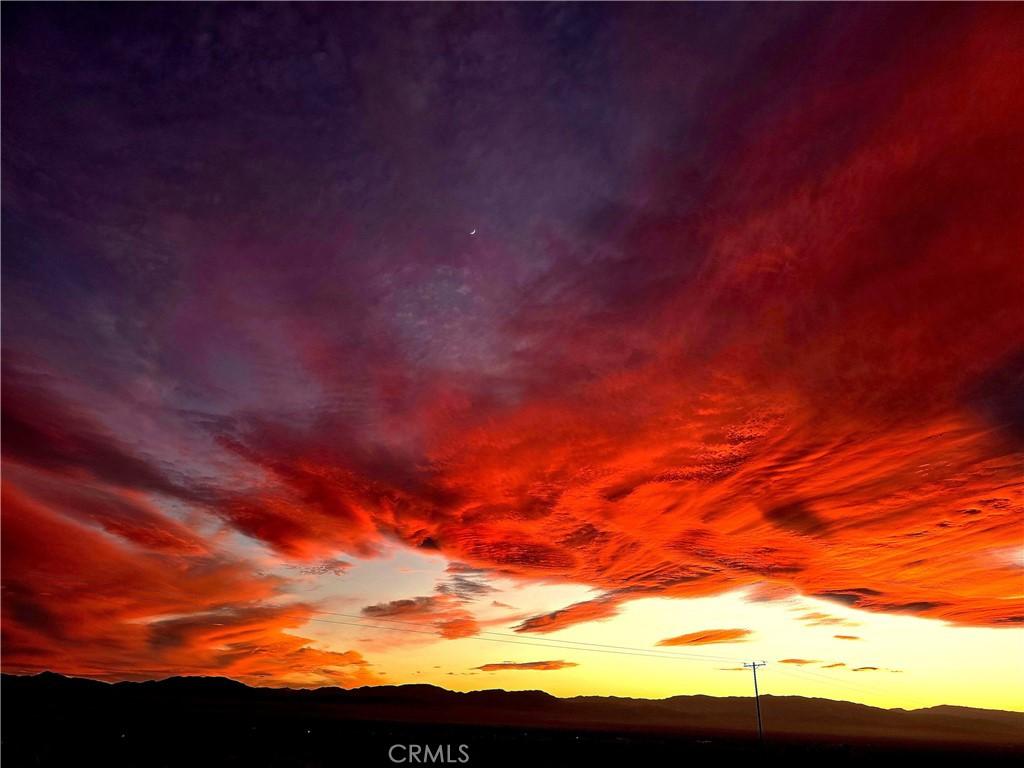 MLS #JT25225729 image #0