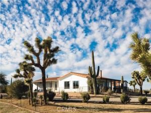 MLS #JT25228943 image #0