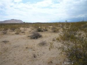 MLS #JT25229232 image #0