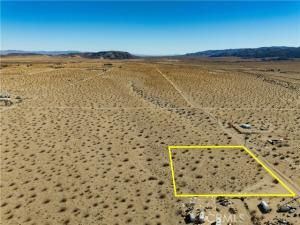 MLS #JT25237705 image #0