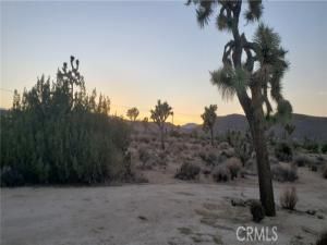 MLS #JT25242301 image #0