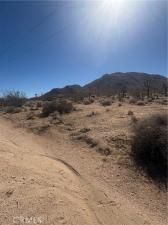 MLS #JT25242563 image #0