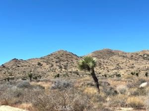 MLS #JT25243508 image #0
