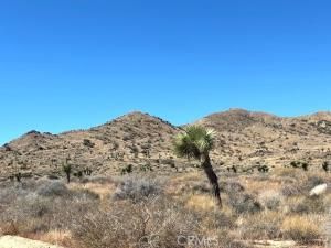 MLS #JT25243508 image #0