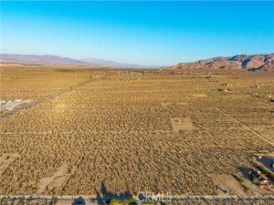 MLS #JT25246714 image #0