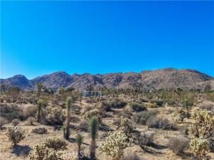 MLS #JT25246779 image #0