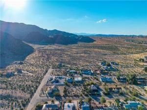 MLS #JT25246790 image #0