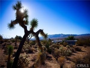 MLS #JT25246807 image #0