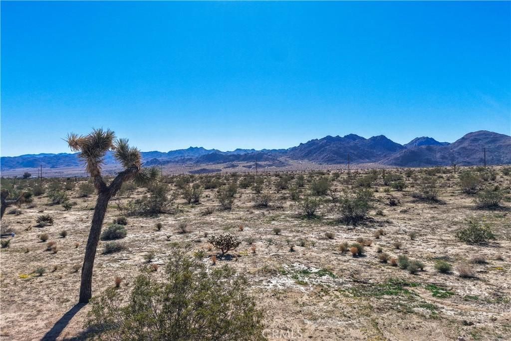 MLS #JT25246808 image #0