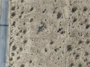 MLS #JT25246822 image #0