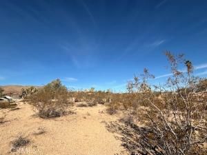 5747 Marvin DR Yucca Valley CA 92284 | MLS #JT25252608 45 MLS #JT25252608 image #0