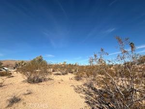 MLS #JT25252608 image #0