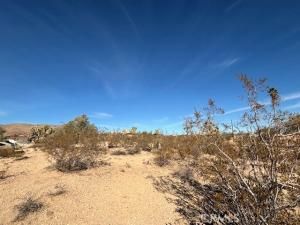 MLS #JT25252608 image #0