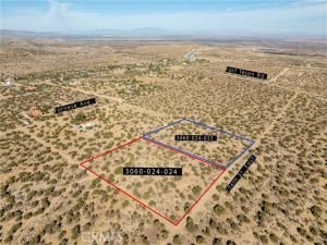 MLS #JT25253691 image #0