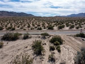 MLS #JT25255078 image #0