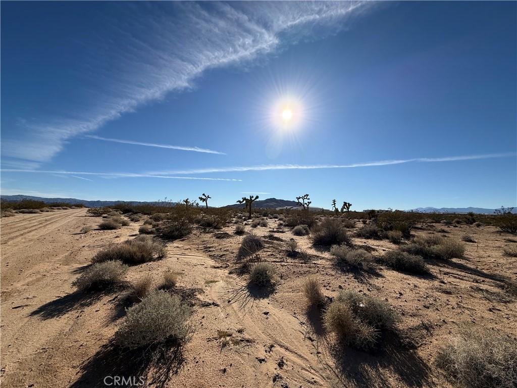 MLS #JT25255636 image #0