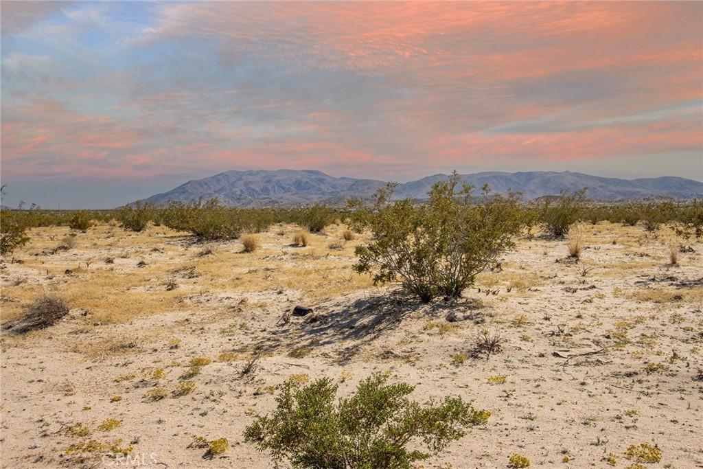 MLS #JT25255739 image #0