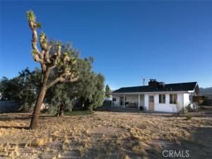 MLS #JT25255954 image #0