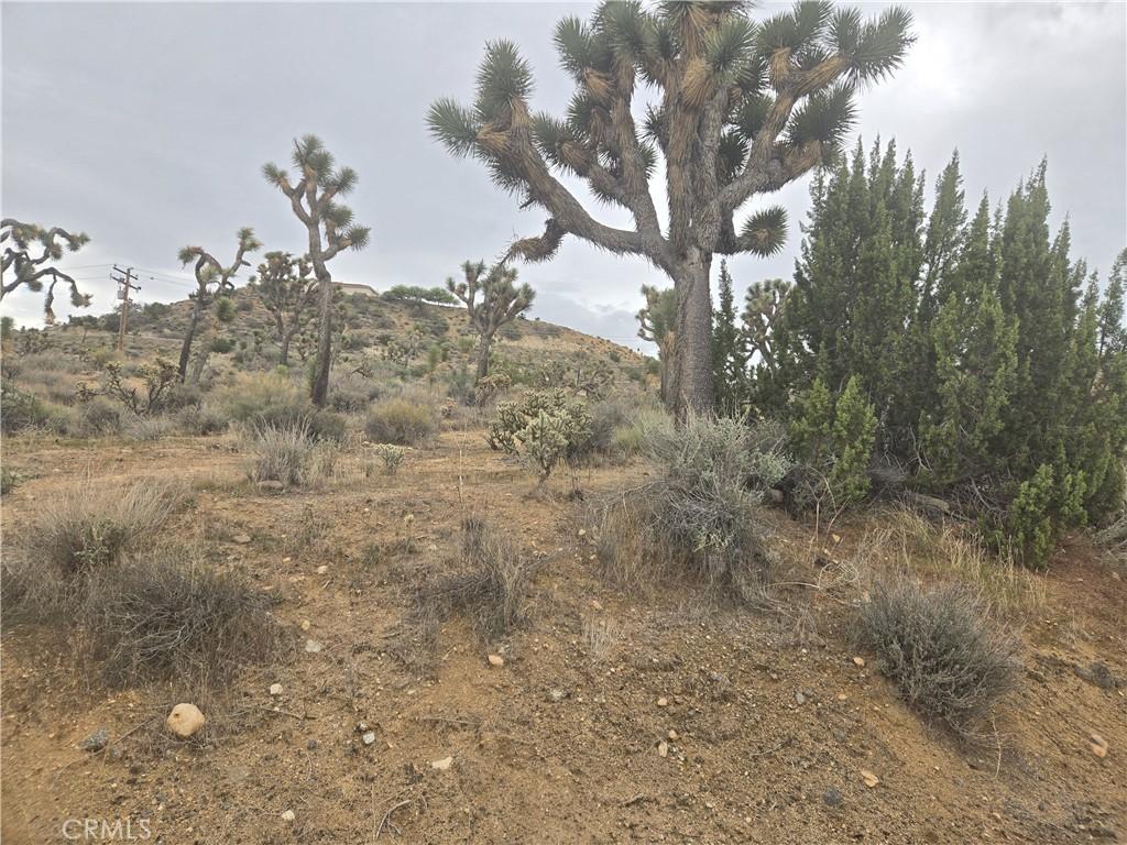 54763 Twentynine Palms HY Yucca Valley CA 92284 | MLS #JT25260765 33 MLS #JT25260765 image #0