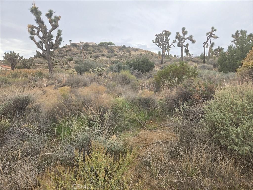54777 Twentynine Palms HY Yucca Valley CA 92284 | MLS #JT25260776 33 MLS #JT25260776 image #0